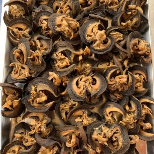 Dehydrated Jumbo Snails